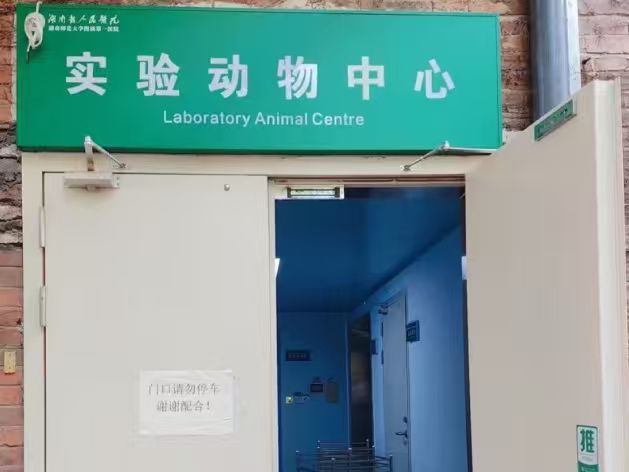 空气净化